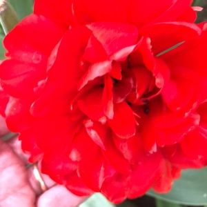 Meet your Posher, Deborah